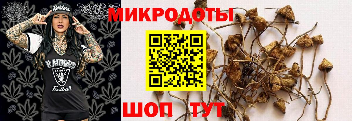 Галлюциногенные грибы MAGIC MUSHROOMS Нарткала