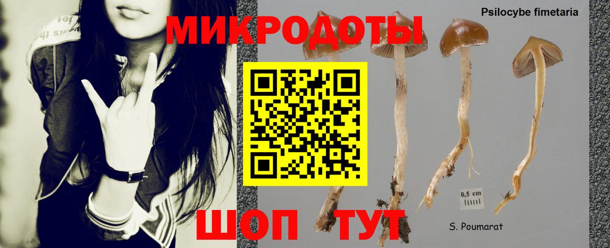 Нарткала  Галлюциногенные грибы прущие грибы  Вход с VPN 